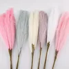 สีสุ่ม