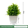 Herbe des marais sessile en pot vert