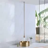 Brushed Gold