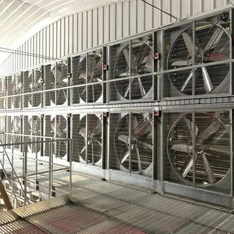Large Air Flow High Efficiency IP55 Waterproof Chicken House Poultry Farm Ventilation Extractor Poultry House Exhaust Fan