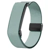 2-Verde brumoso
