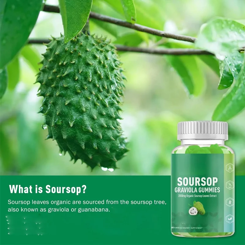 Graviola Soursop Leaves Extract Vitamin C Zinc Supplement Customizable Organic Soursop Graviola Gummies