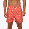 Pink Banana Print