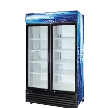 Display Commercial Refrigerator Glass Door Beverages Fridge Chest Deep Freezer Cooler Refrigeration Equipment