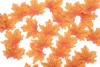 Arancione