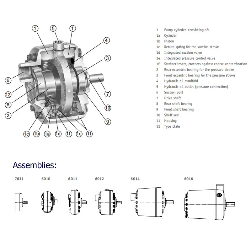 Hawe Radial Piston Pump Type R Rg 7631 / 6010 / 6011/ 6012/ 6014/ 6016