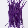 Pourpre