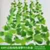 5 solid-color pothos plants with 69 leaves coated with glue