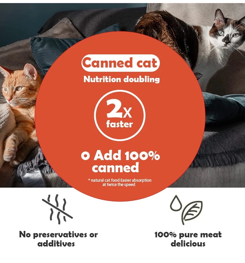 100 Natural Chicken Flavor Canned Food For Cat Wholesale Cat Treats