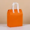 สีส้ม