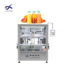Automatic 2 Heads 10-500ml fruit juice bottle syrup oral liquid filling machine production line