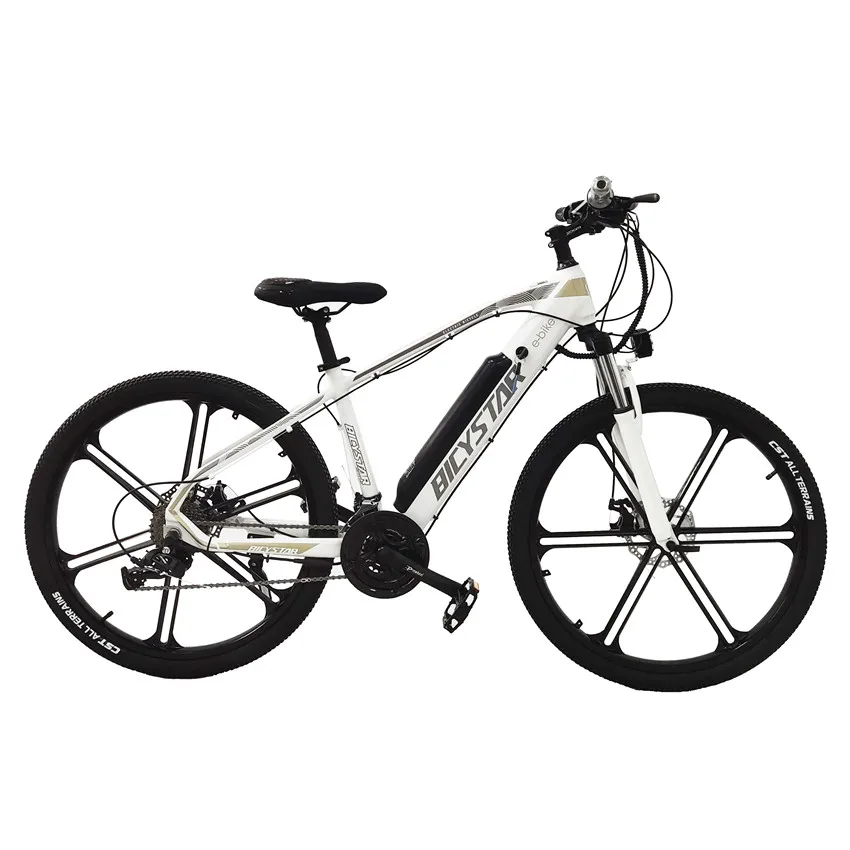 2021 Mid Drive Hoge Bereik Volwassen 1000w 1500w Lithium Elektrische Fiets Velo Electrique