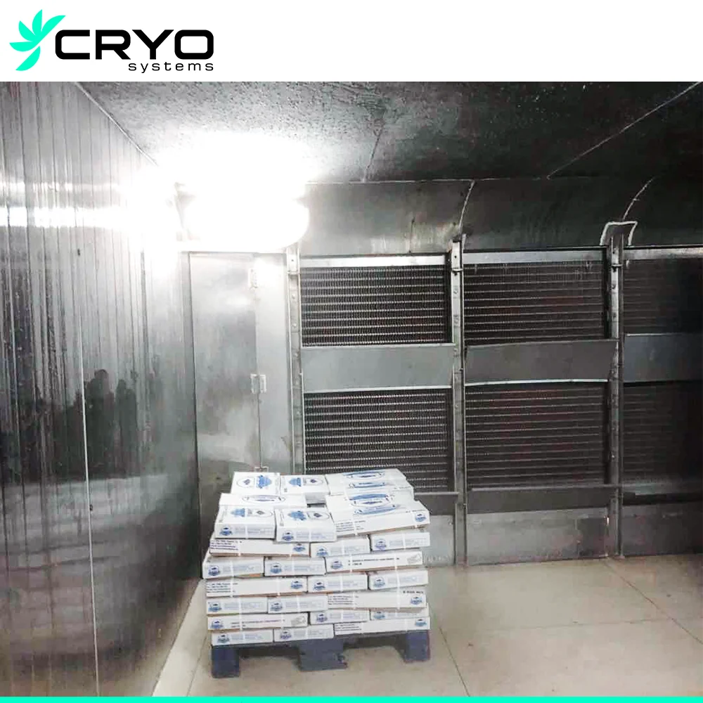 Cold Storage 50 Ton Chicken Blast Freezer Blast Chiller Blast Freezers Rooms