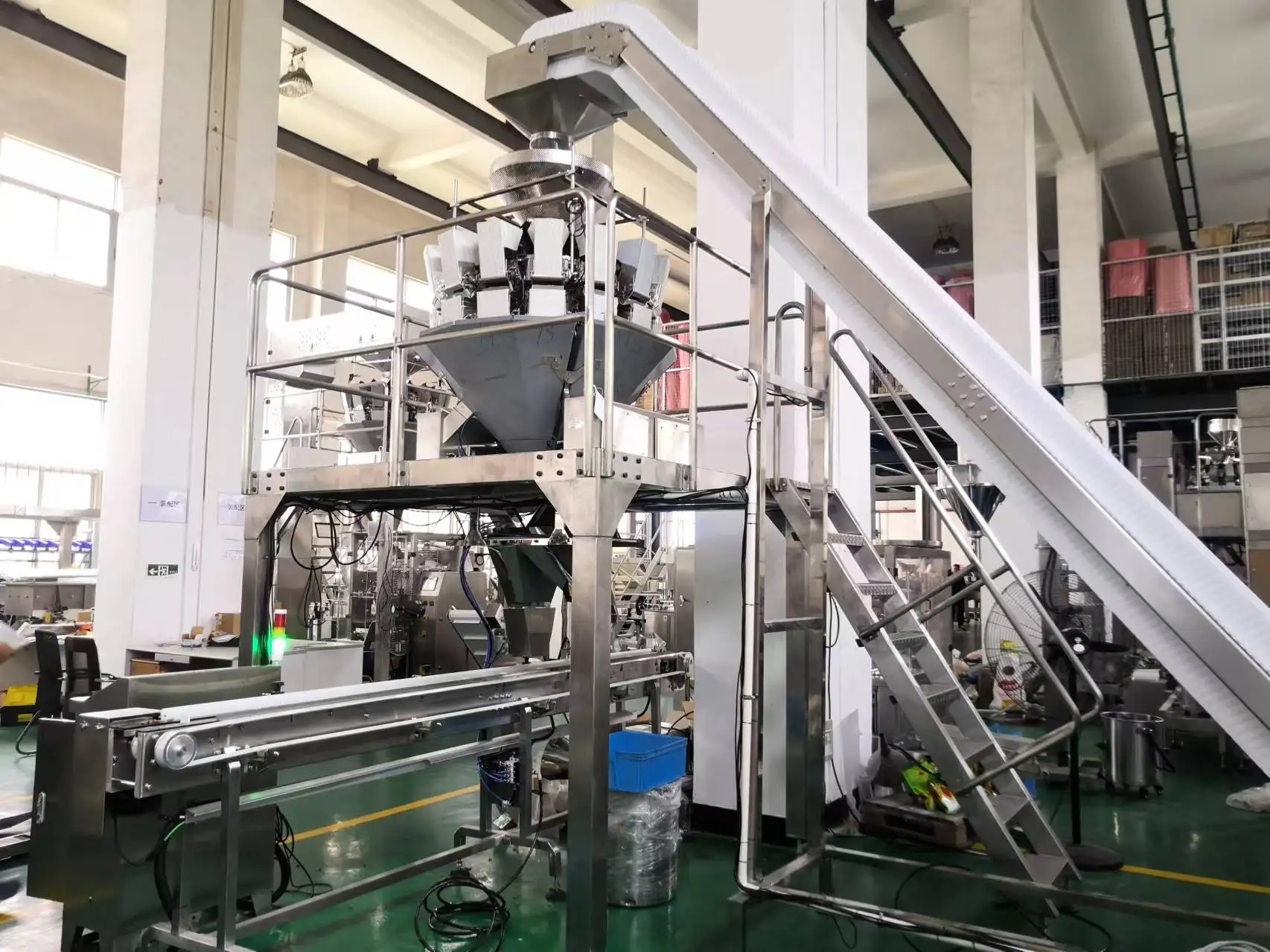 Semi-automatic Blueberry Fruit Punnet Container Packing Equipment