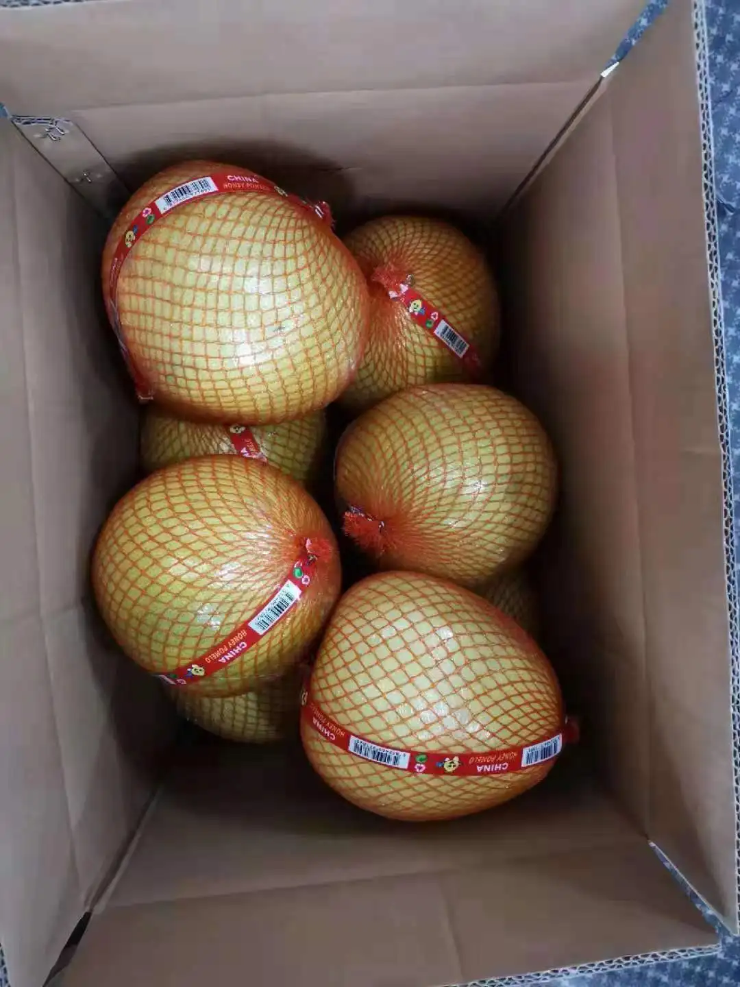 Fresh Ginger Export High Quality Fresh Elephant Ginger From Fresh