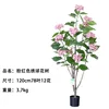 ต้นไฮเดรนเยียสีชมพู สูง 120 ซม. (78 ใบ, 12 ดอก)