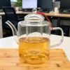 Tetera Prajna 1800ml-filtro interno