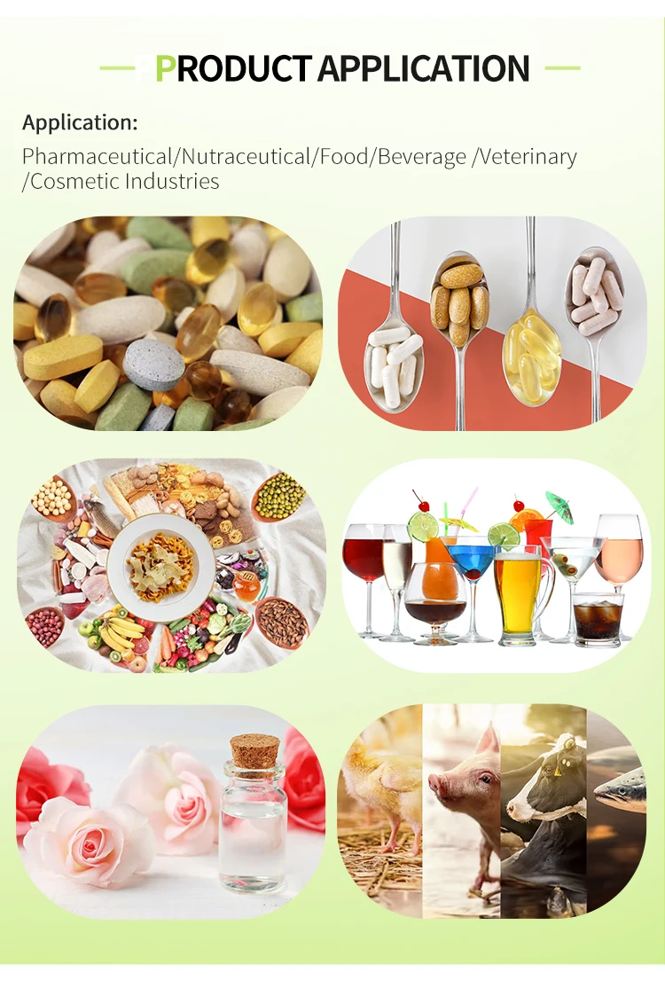 best psyllium husk powder supplier Yangge Biotech best psyllium husk powder supplier Yangge Biotech