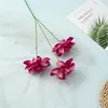 Une branche magenta