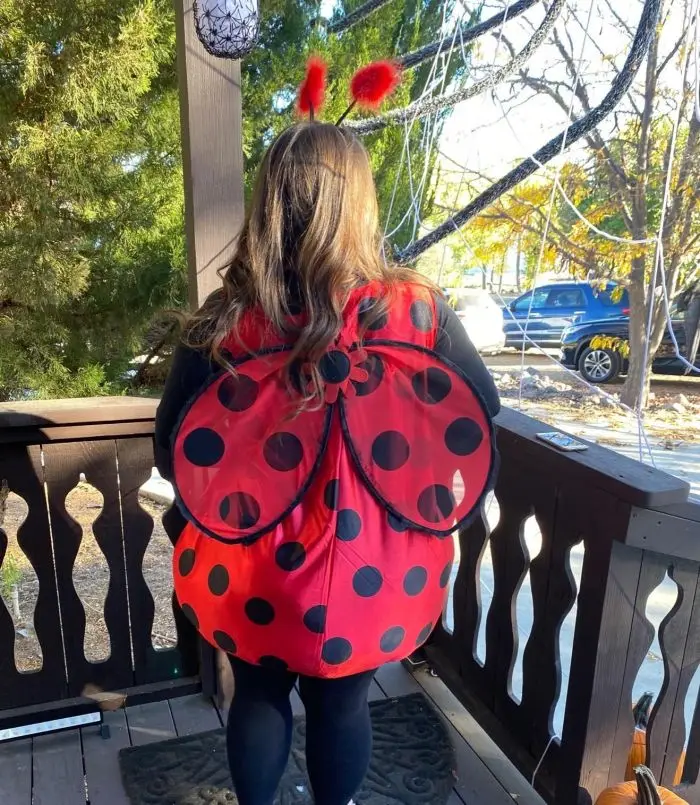 Adult Ladybug Costume Set Ladybug Costume Dress For Halloween Cosplay ...