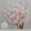 Ramas altas de lirio araña rosa claro