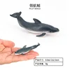 Ballena de 2005