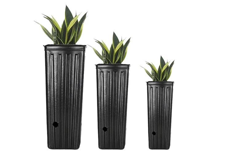 Orange,Grape Plastic Nursery Tree Pots,Deep Pots Buy Tree Pots