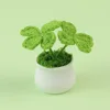 Two potted four-leaf clovers-Bud Green