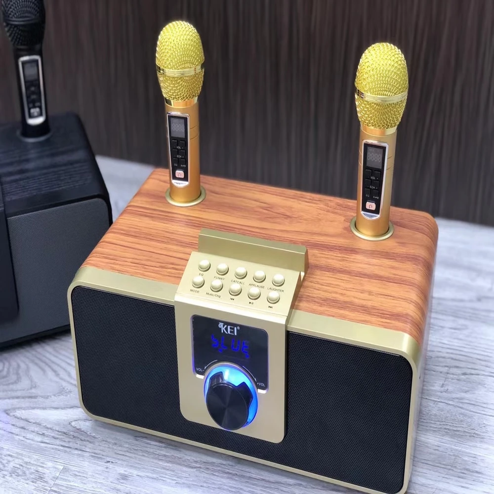 Wholesale 30w Subwoofer Speaker With Double Microphones Home Party Ktv