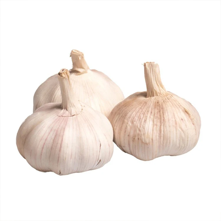Chinese Garlic Pure White Fresh Peeled Dried Garlic Buy Fresh Garlic