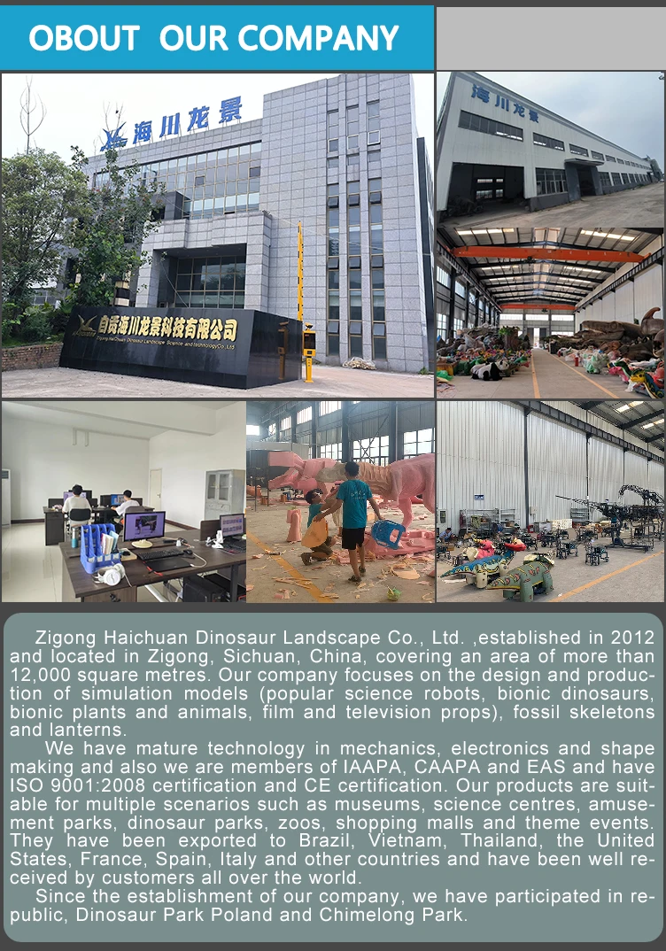 Company overview