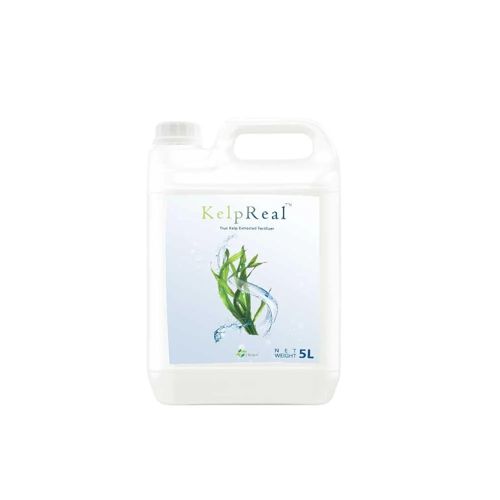 Manufacturer Enzymatic OMRI Listed Hydrolysis Compound Seaweed Extract Fertilizer