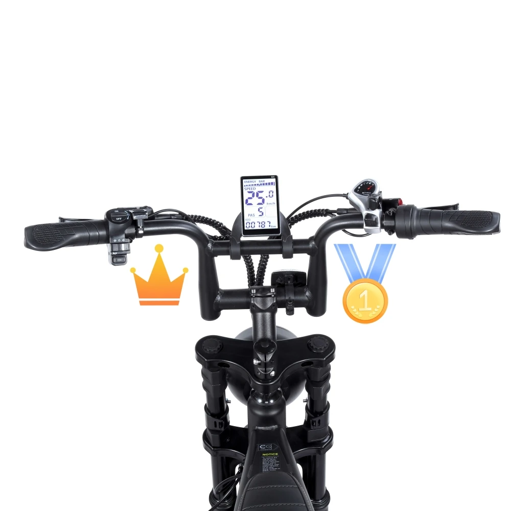 OUXI V8 20インチファットタイヤ電動自転車 750W/1000W選択可能