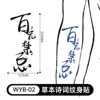 Wyb-02-150300mm