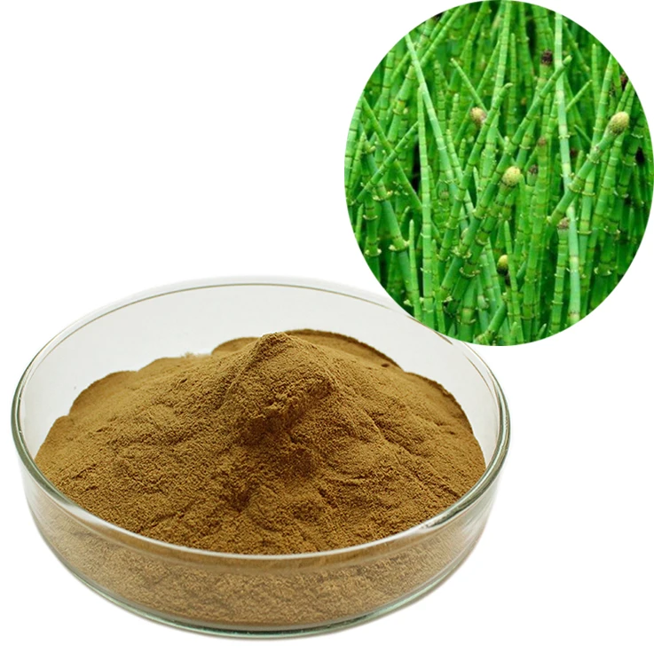 Horsetail Extract Equisetum arvense gulfweed extract Silica powder