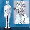 Modelo masculino blanco duro 40cm