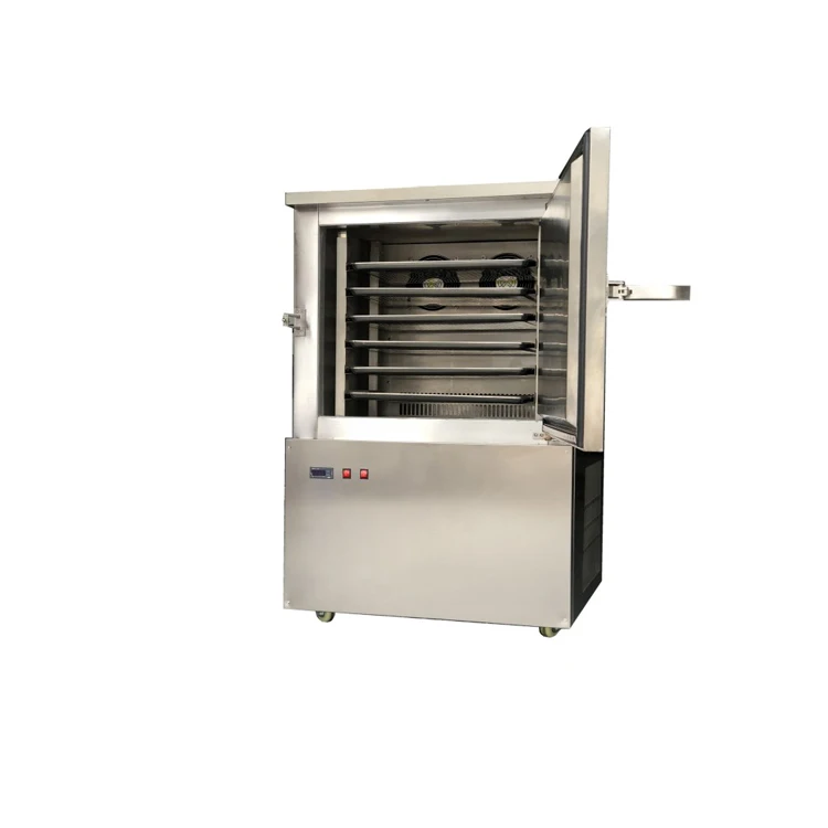 High quality Stainless steel ice cream blast freezer food quick freezing machine price for sale for sale