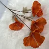 4 cabezas, No.2, Naranja Caramelo