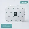 Oxford Cactus