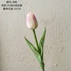 Rosa intenso