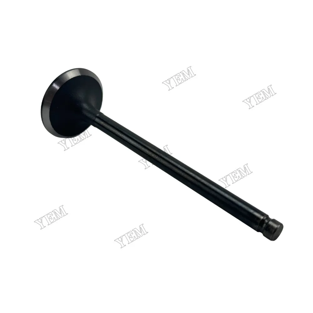 Intake Valve Fit for Mitsubishi 4D56 Engine 6