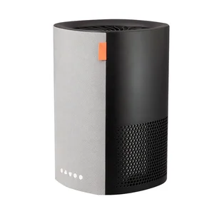 Quality Golden Supplier Wifi Blue Tooth Speaker Bipolar Ionization Filter Pm2.5 Nano Air Purifier