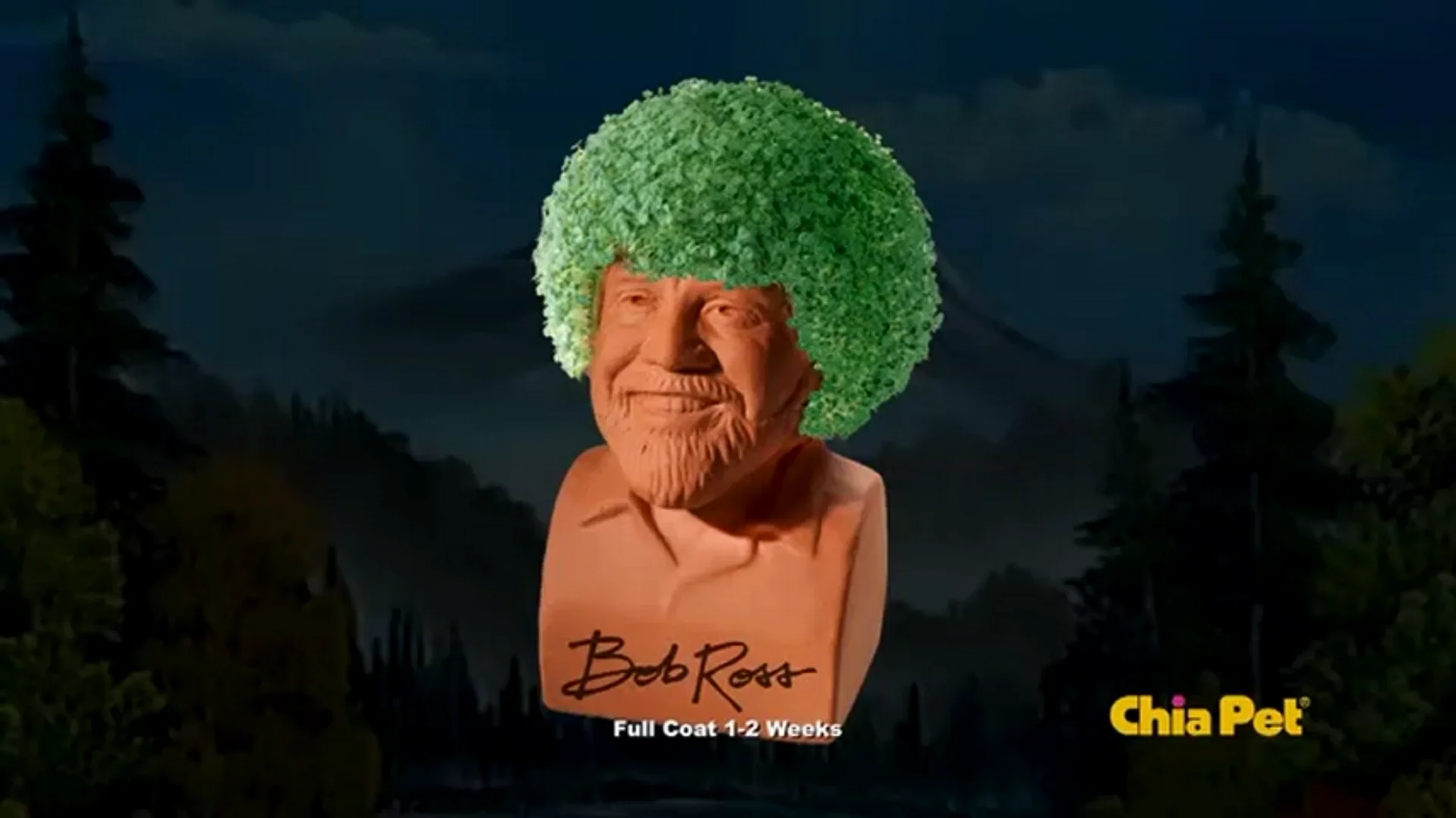 Chia Pet Unicorn Gardening Kit Plant Starter Kit Buy Chia Pet Unicorn