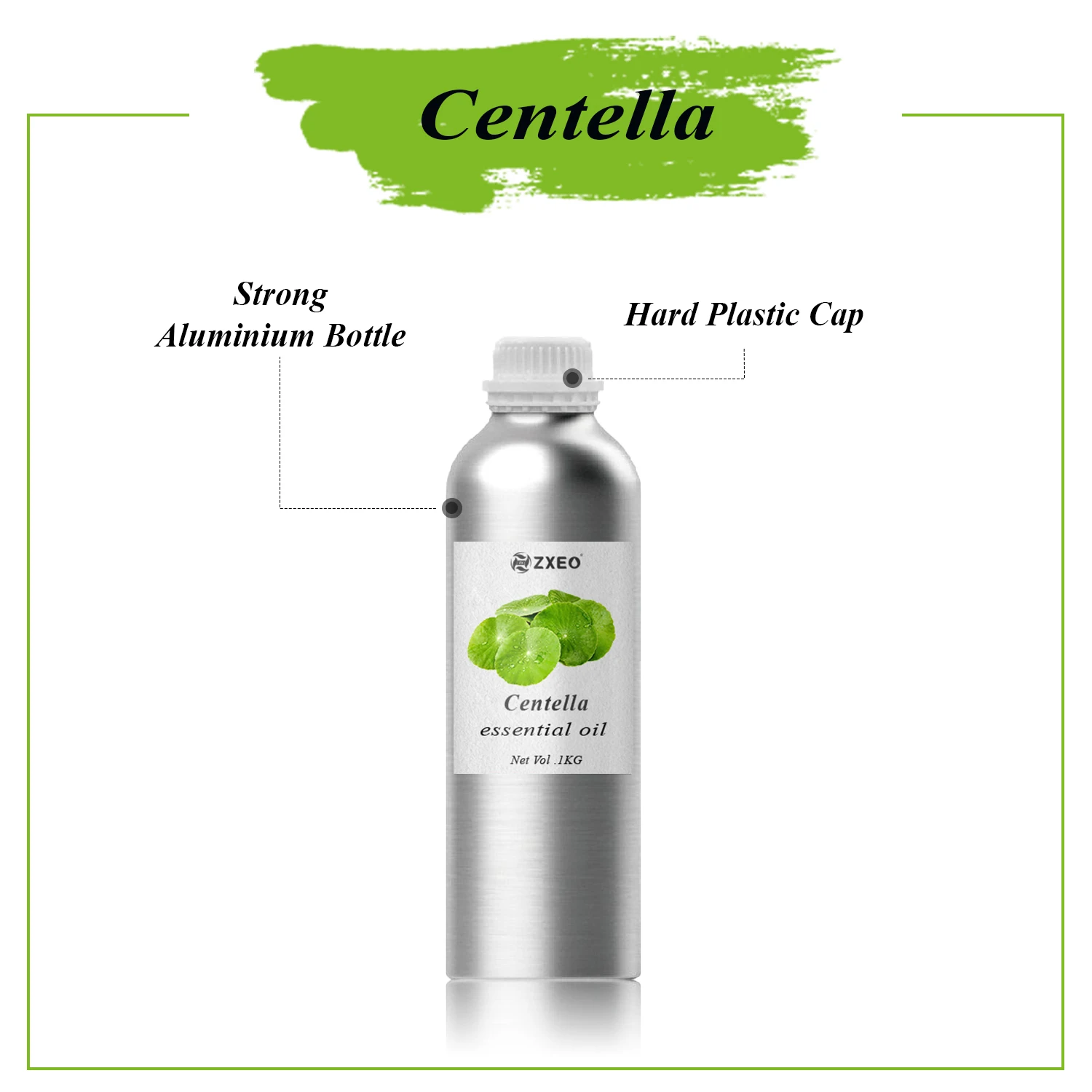 Huile Végétale De Centella Asiatica (Gotu Kola) - 100% Pure, Pressée à Froid - Marque Bangota