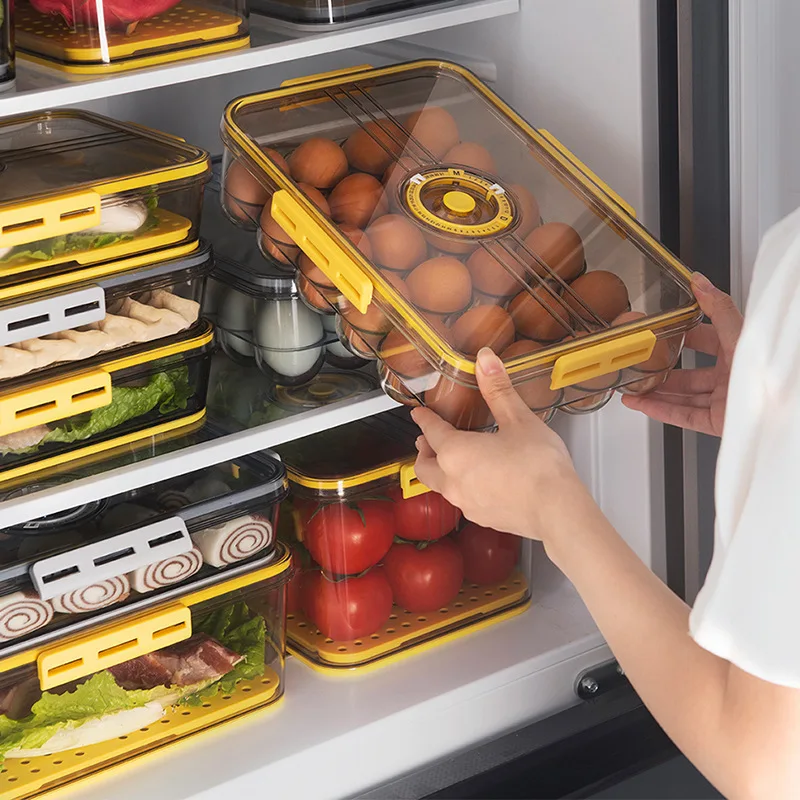 New refrigerator storage egg box 24 lattice PET plastic transparent frozen thick timing egg preservation box wholesale