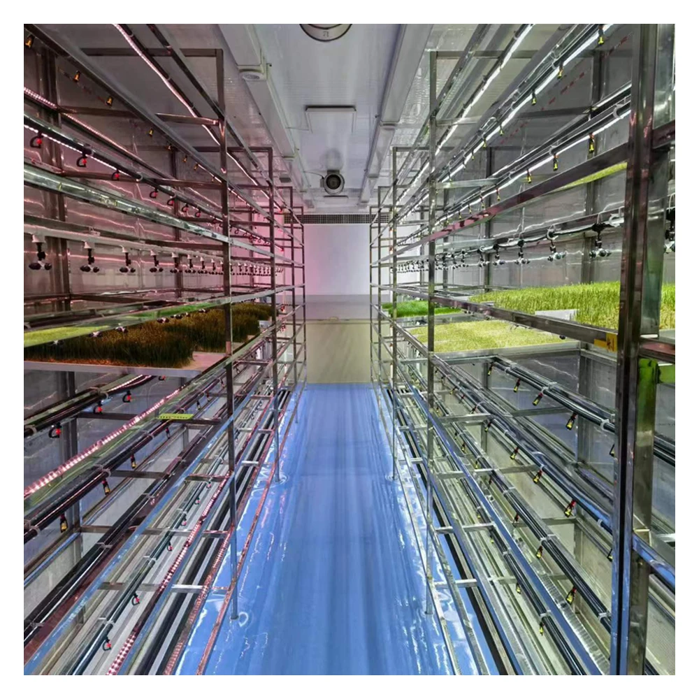 Smart Farm Shipping Container Farm Vertical Farming Hydroponic Growing ...