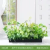 E60-2 60*25cm flower troughs