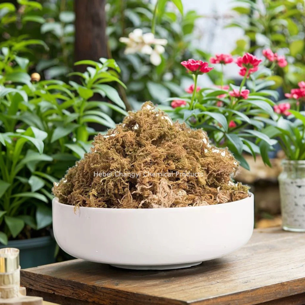 Customizable Premium Grade 1A Eco-friendly Sphagnum Moss for Reptile ...