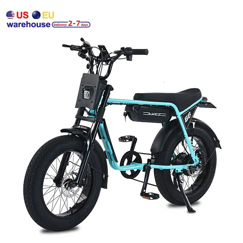 750w Electric Fat Bike Zx With 20