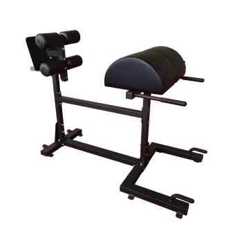 Gym Fitness Equipment Reverse Hip Extension Lower Back Strength Training Glute Ham Developer Exercise Benches